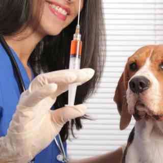 side effects for rabies vaccine