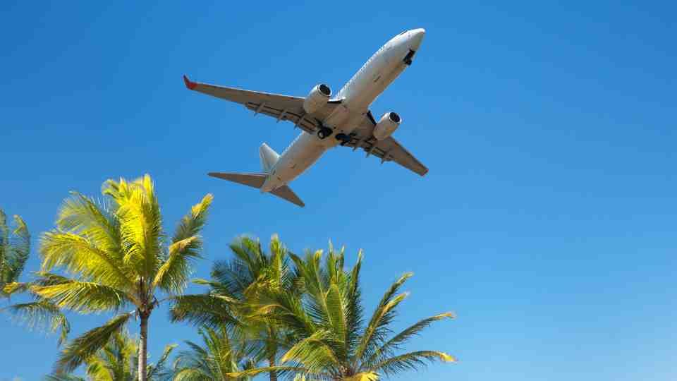 Plane taking off over palm trees