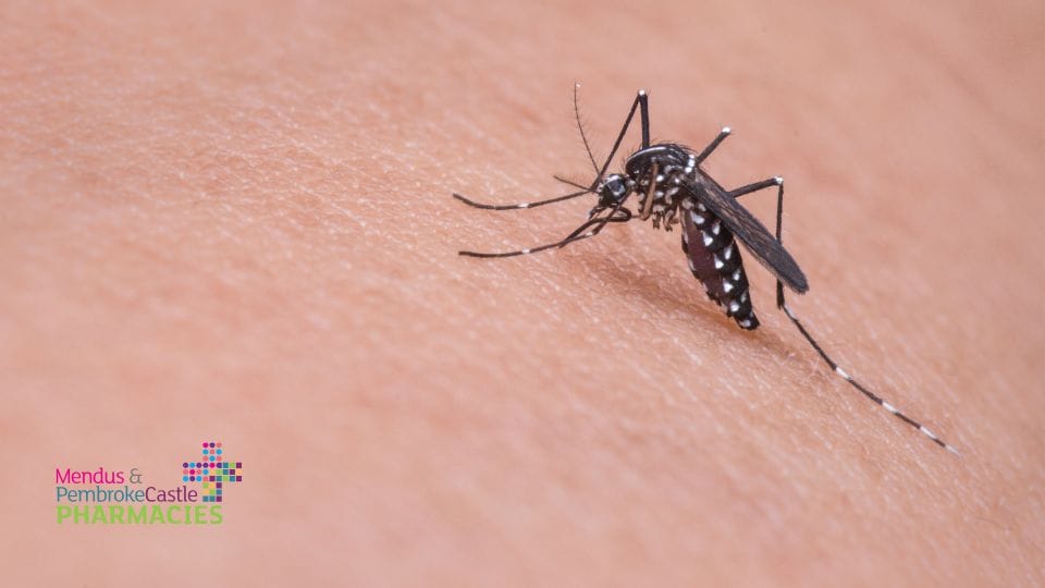 Mosquito repellent and vaccines for vacation